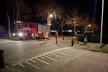 nieuws teunis lodderstraat rijssen
