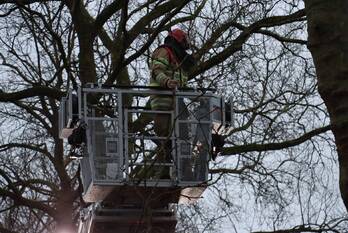 natuur jan ter gouwweg naarden