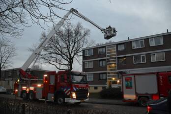 natuur schieringerweg leeuwarden