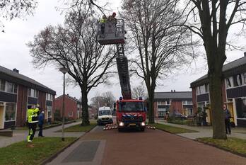 nieuws de savornin lohmanstraat wierden