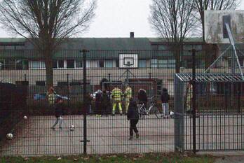 nieuws hollywoodlaan almere