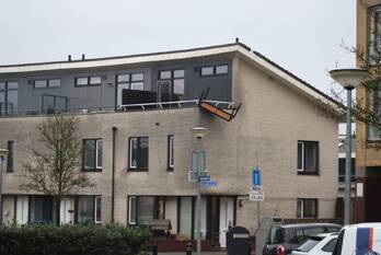 natuur bazuindreef harderwijk