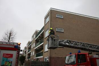 natuur clusiusweg noordwijk