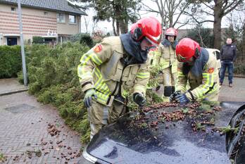 natuur kostverloren laren