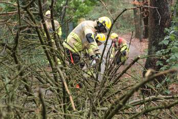 natuur vredelaan laren