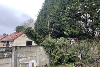 natuur pastoor van de spijkerstraat helmond