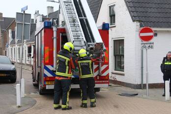 natuur koninginneweg katwijk