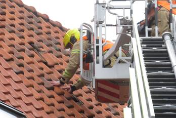 natuur ketelaarsstraat rotterdam