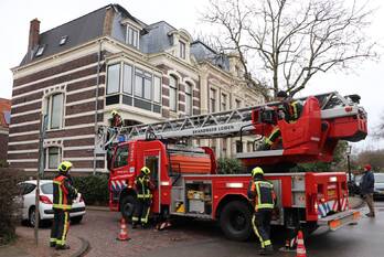 natuur kraaierstraat leiden
