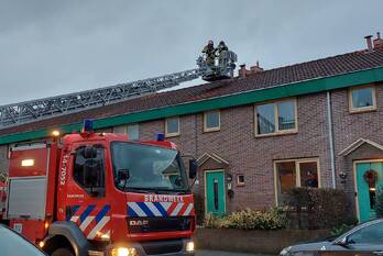 natuur de dennen bussum