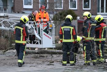 natuur curielaan voorschoten