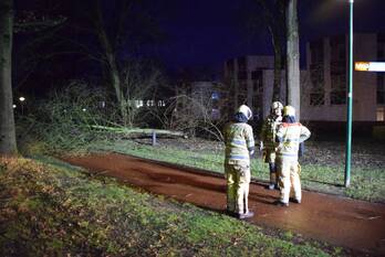 natuur vendelier veenendaal