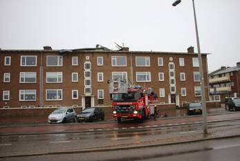 natuur rijnmond katwijk