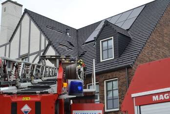 natuur spiering waddinxveen