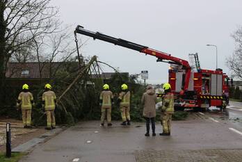 natuur kloosterweg noordgouwe