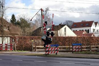 nieuws boslaan lunteren