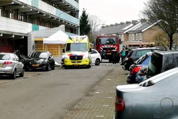 nieuws goeman borgesiuslaan harderwijk