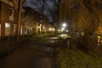 natuur houtmansplantsoen gouda
