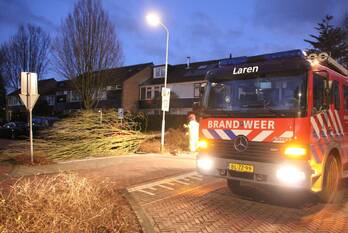 natuur graafland laren