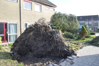 natuur de nije oanliz goutum