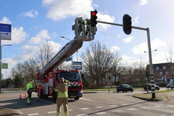 natuur lambertus hortensiuslaan naarden
