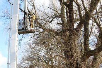natuur bullenaarsweg enter
