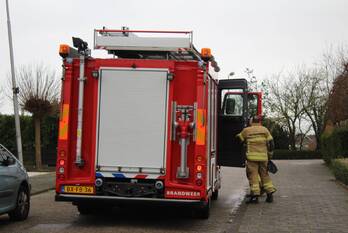 natuur roggestraat ridderkerk
