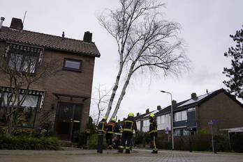 natuur oosteinde moordrecht