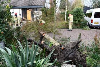 natuur gondel 27 lelystad