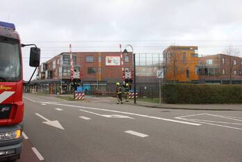 natuur jacoba van beierenweg voorhout