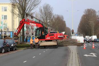 natuur erasmusweg - s105 den haag