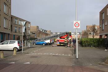 natuur componistenlaan voorhout