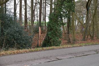 natuur edeseweg bennekom