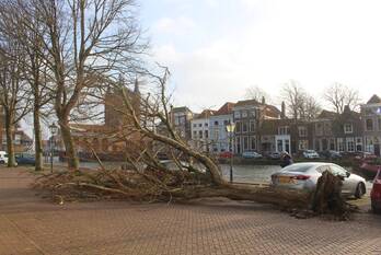 natuur oude haven zierikzee