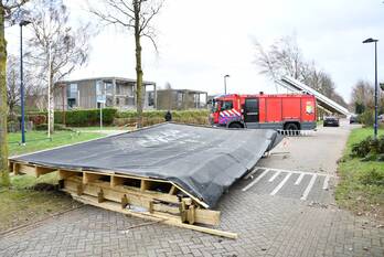 natuur hollandse hout lelystad