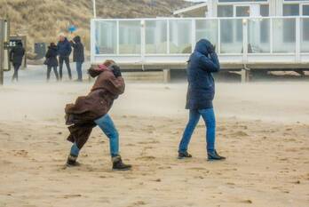 natuur zeeweg castricum