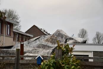 natuur haringvlietlaan lelystad