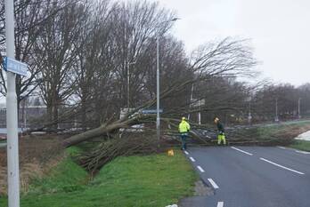 natuur laan van sint hilaire zierikzee