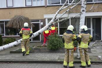 natuur ratelaar kampen