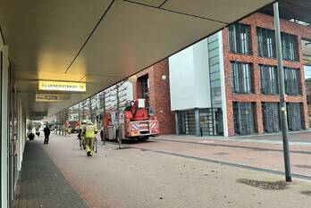 natuur elsenerstraat rijssen