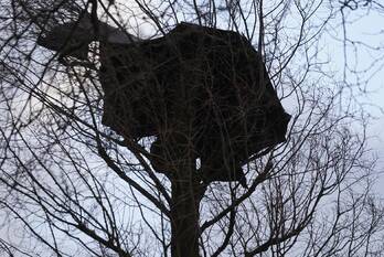 natuur prinses irenestraat - pr. irenestraat moordrecht