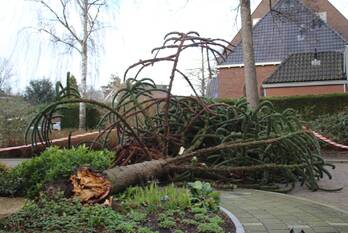 natuur van kijfhoekstraat hendrik-ido-ambacht