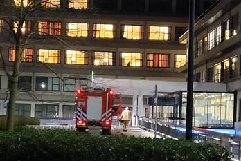 natuur bogardeind geldrop