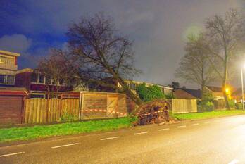 natuur bieshaarlaan hoogland