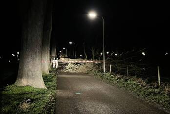 natuur oosterhofweg rijssen