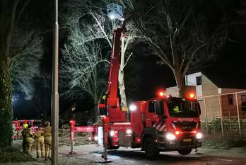 natuur commandeursweg bennekom