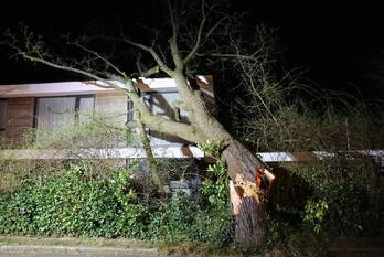 natuur statenlaan bussum