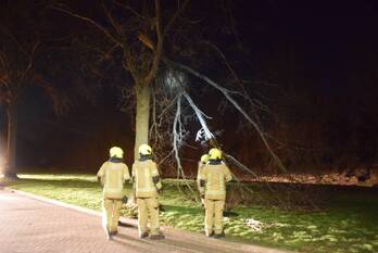 natuur de kanterlaan zierikzee