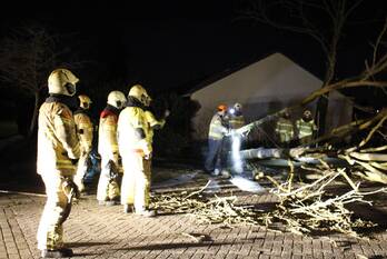 natuur vriezenkamp dinxperlo
