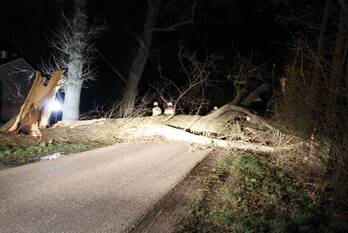 natuur brakenweg aalten